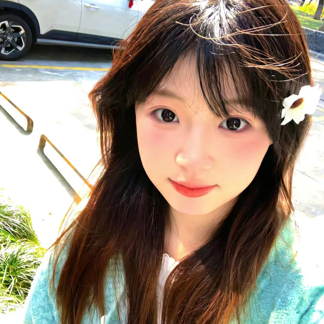 垂花琴木