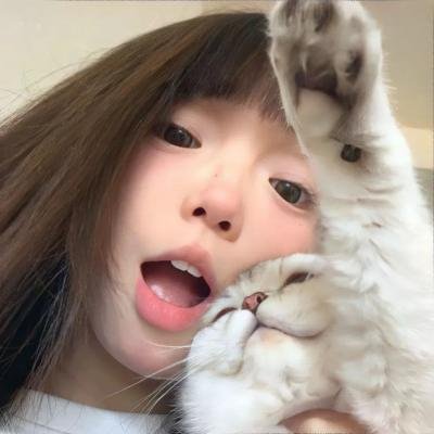 穷途鼠的奶酪梦